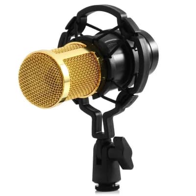 Microfone PodCast SM800 Boden